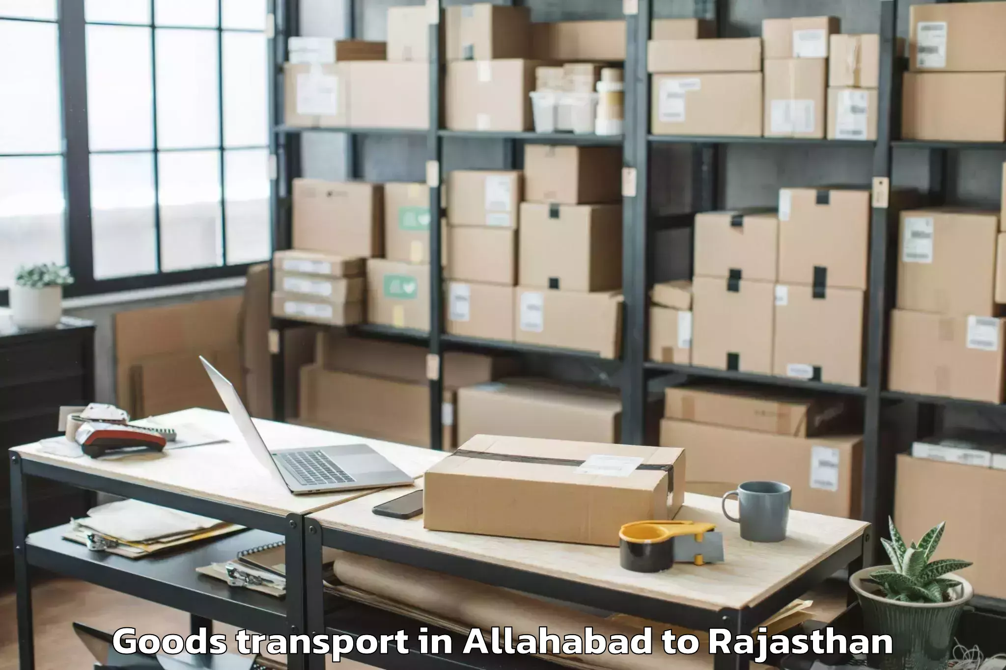 Affordable Allahabad to Hindaun Goods Transport